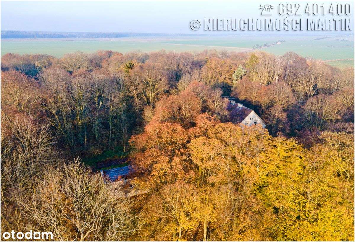 dworek z parkiem 4,1 ha Chlewiska k/Poznania-5