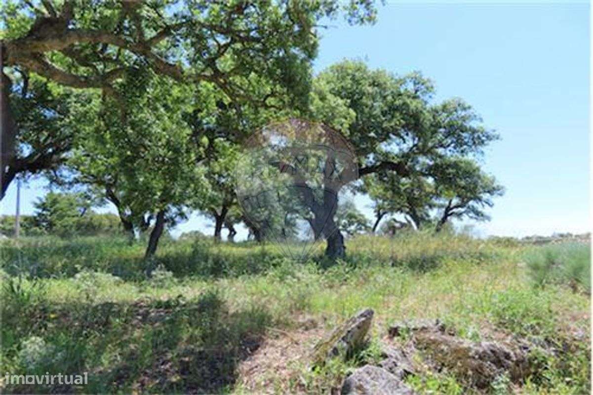 Quinta T0 para venda - Grande imagem: 3/18