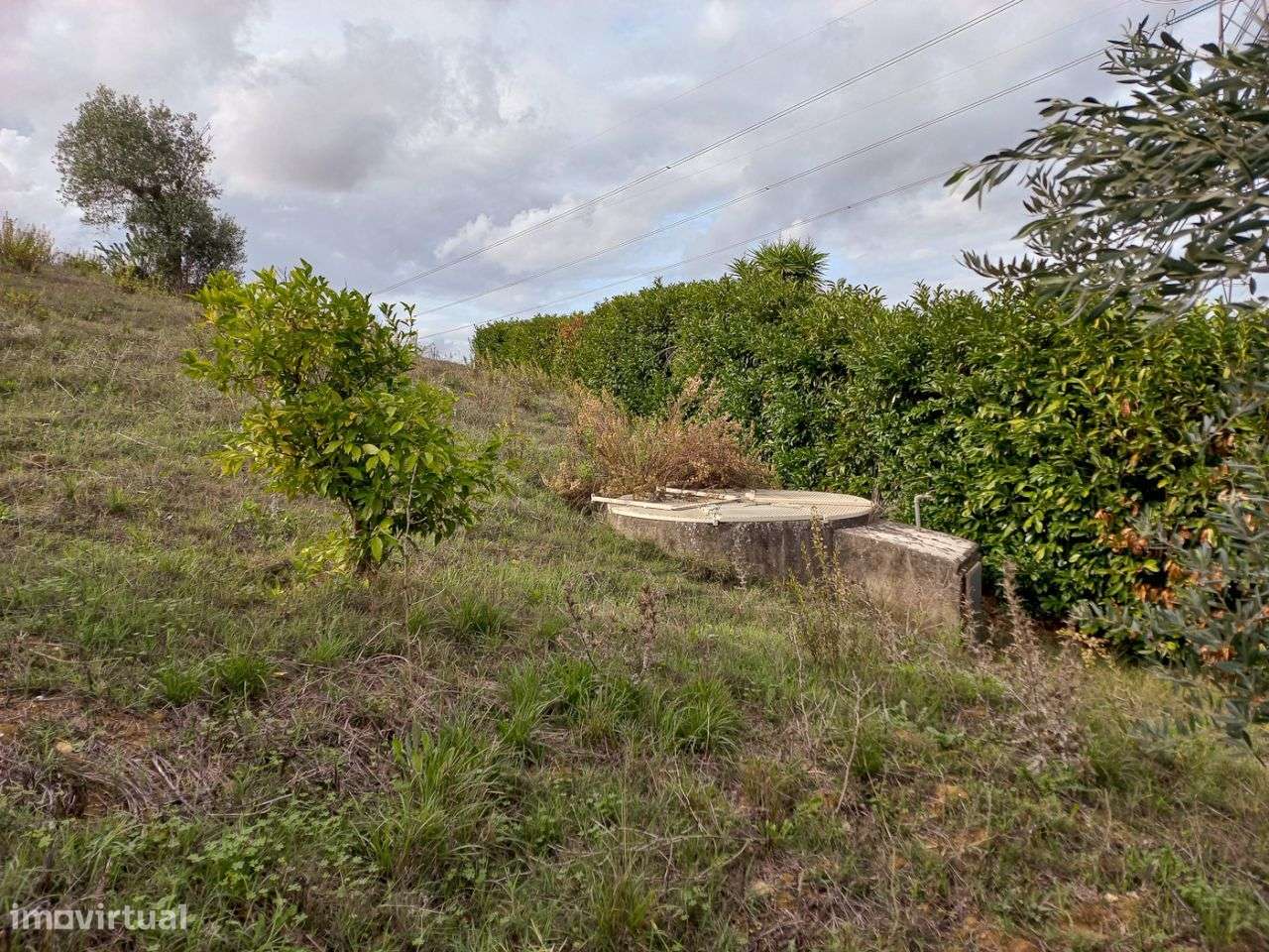 Terreno com 2.251 m2 para construção de moradia - Grande imagem: 5/9