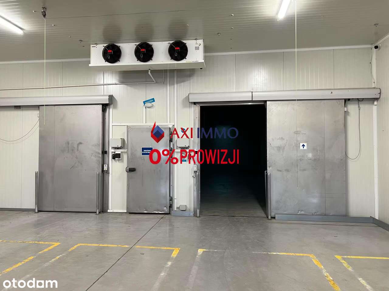 Najem magazyn Łódź Rzgów mroźnia na hurtownię spożywczą Bez prowizji! - Pełny obrazek: 4/8