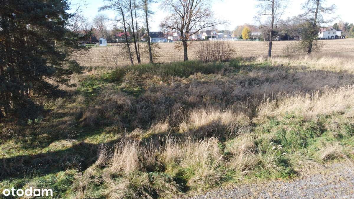 Płaska atrakcyjna działka o pow. 1250 mkw, Zaborze, gm. Chybie-7