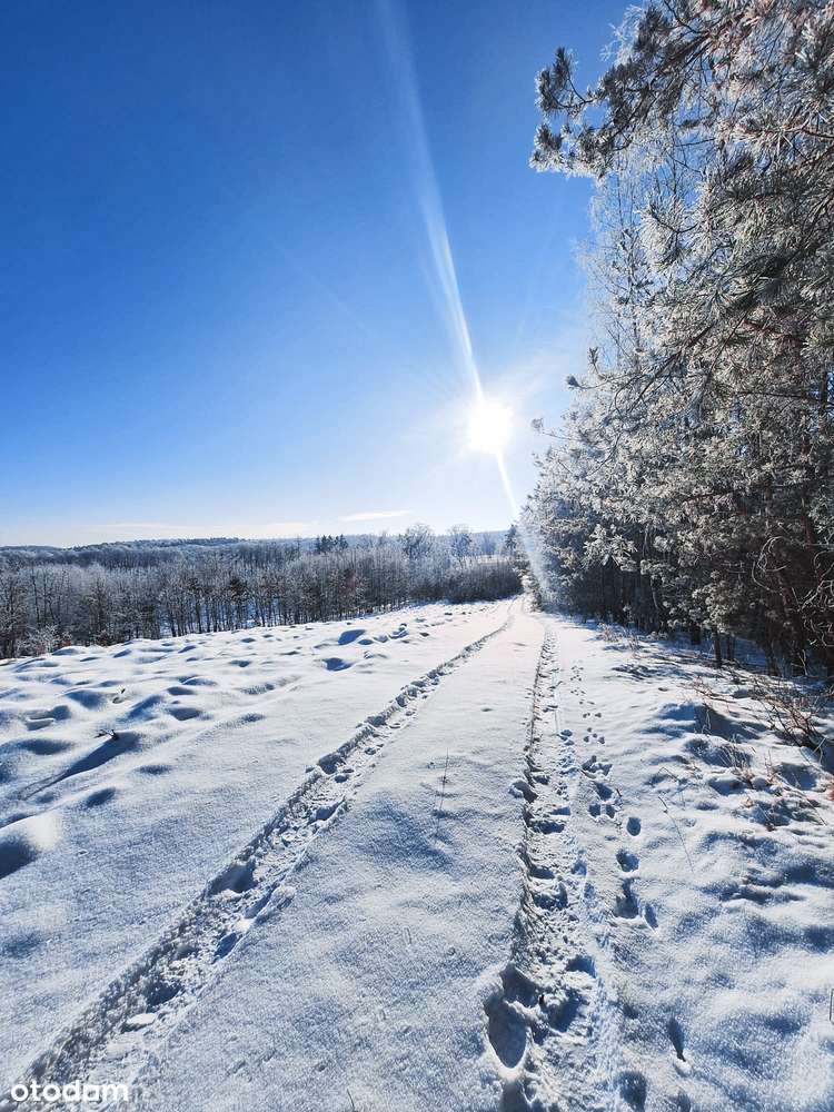 Wyjątkowa działka nad jeziorem – zjawiskowy widok, cisza i las!-13