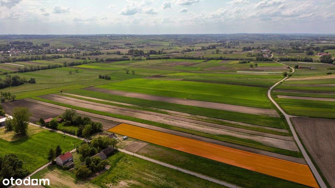 Działka w Kobylnikach z możliwością uzyskania WZ - Pełny obrazek: 4/4