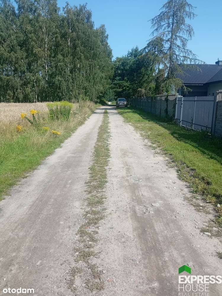 Działka rolna 3 km od Aleksandrowa Łódzkiego - Pełny obrazek: 3/4