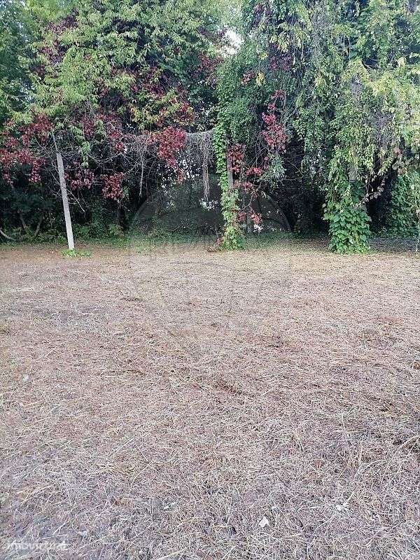 Terreno  para venda-3