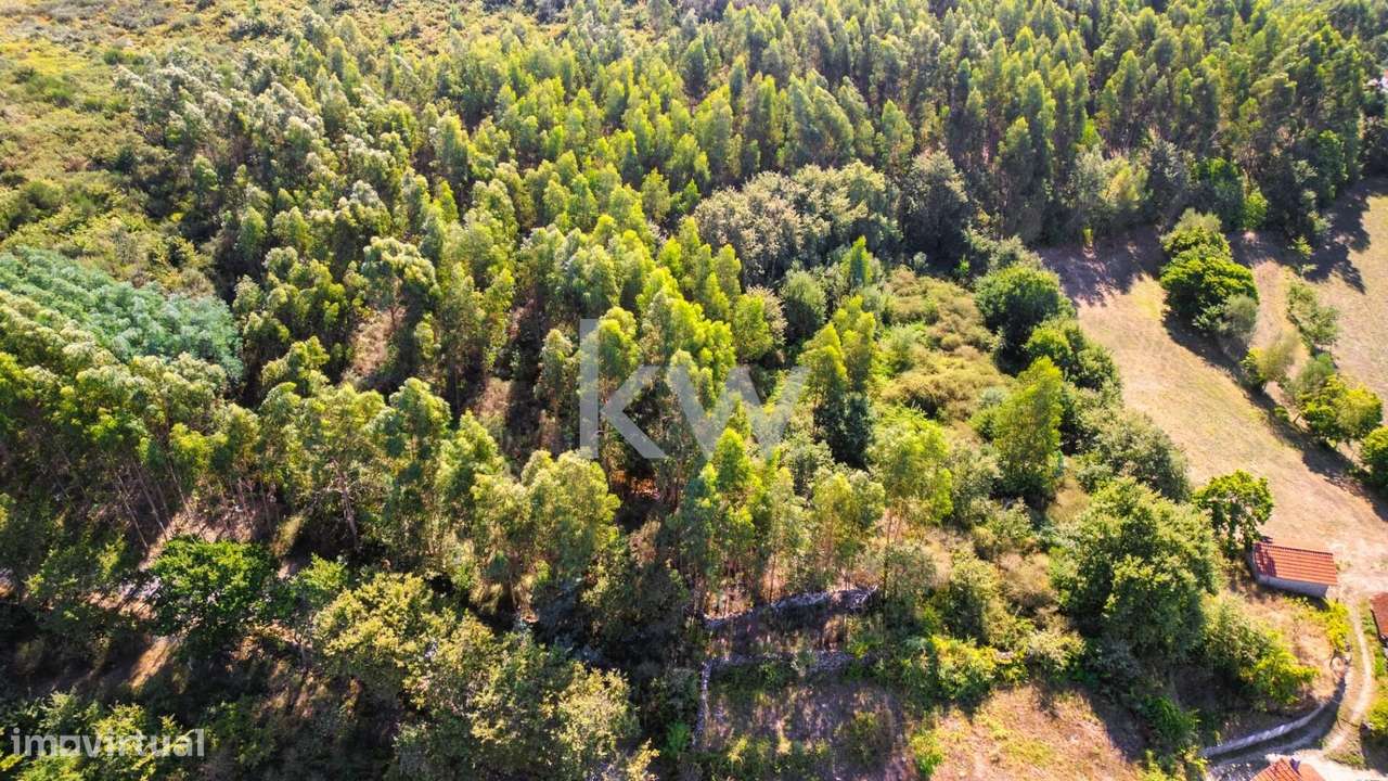 Terreno Rústico em Anjos com ~48800m2 - Vieira do Minho - Grande imagem: 3/20