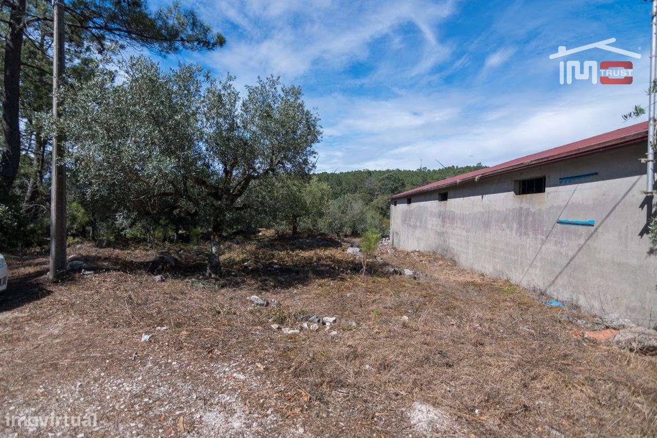 ARMAZEM COM AREA UTIL E 250 M2 LICENCIADO PARA ARMAZEM E ACTIVIDADE... - Grande imagem: 3/13