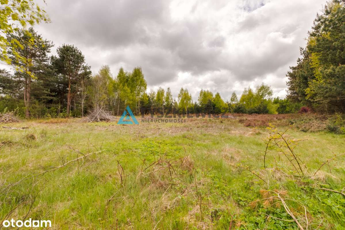 Działka Domatówko z WZ 1277 m2 - Pełny obrazek: 5/20