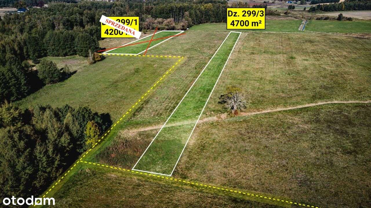 Działa rolna (łąka) 4700 m², Żebrak, gm. Skórzec - Pełny obrazek: 4/7