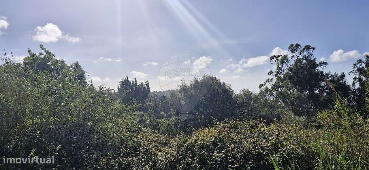 Terreno  para venda - Grande imagem: 5/6