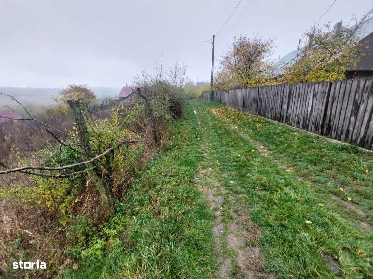 Teren intravilan Popricani-1