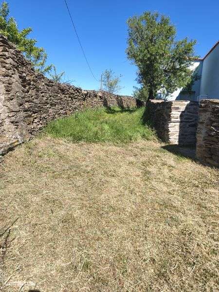 Vendo um terreno com vinha  em Moncorvo - Grande imagem: 4/8