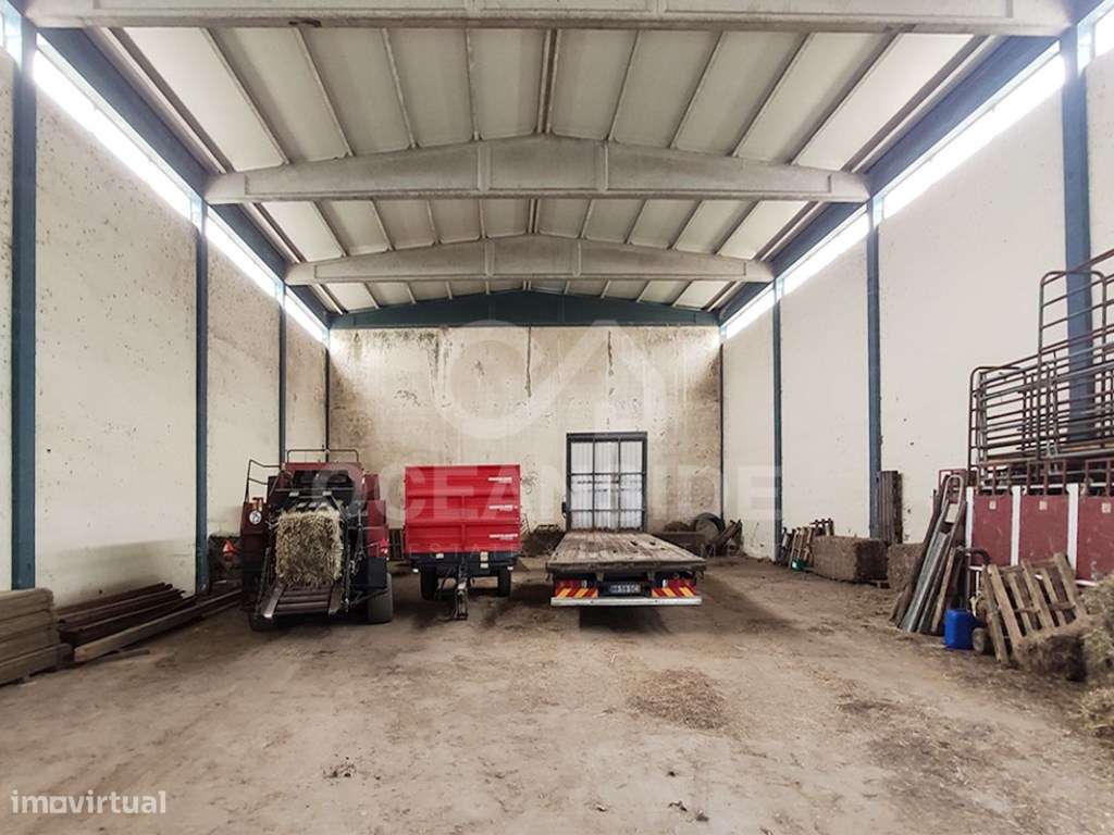 Quinta em Serradas, com terreno de 17.000m²-54