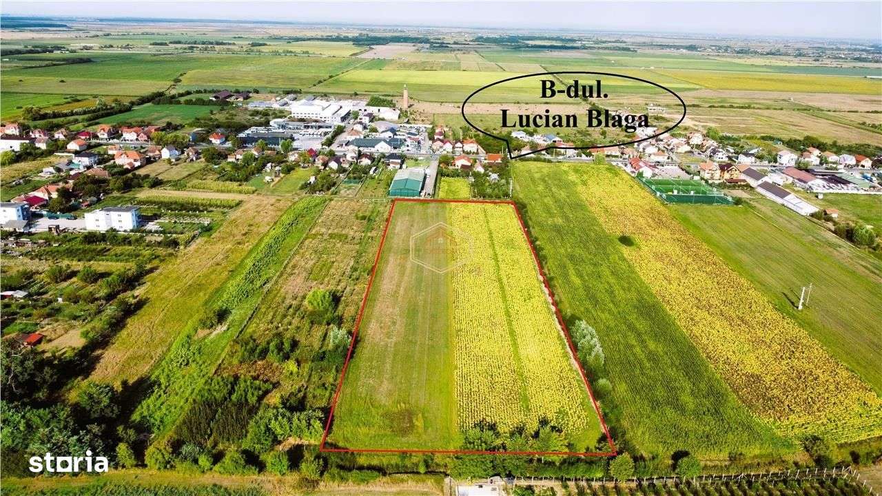 Dezvoltare rezidentiala: Teren pentru parcelare si construire case - Imagine principală: 4/7