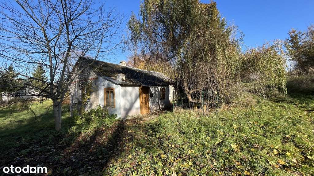 Siedlisko (działka 3623 m2) Przyłęk pow. Zwoleń. - Pełny obrazek: 5/20