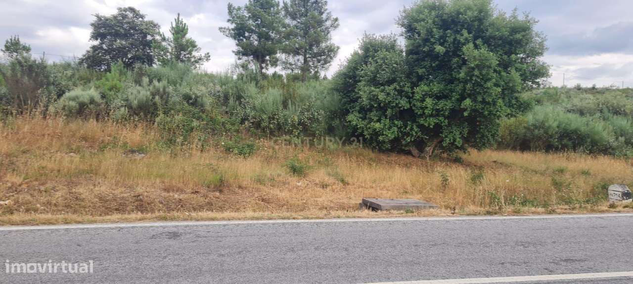 TERRENO EM VILA FLOR - A 4 km do Centro da Vila - Grande imagem: 5/5