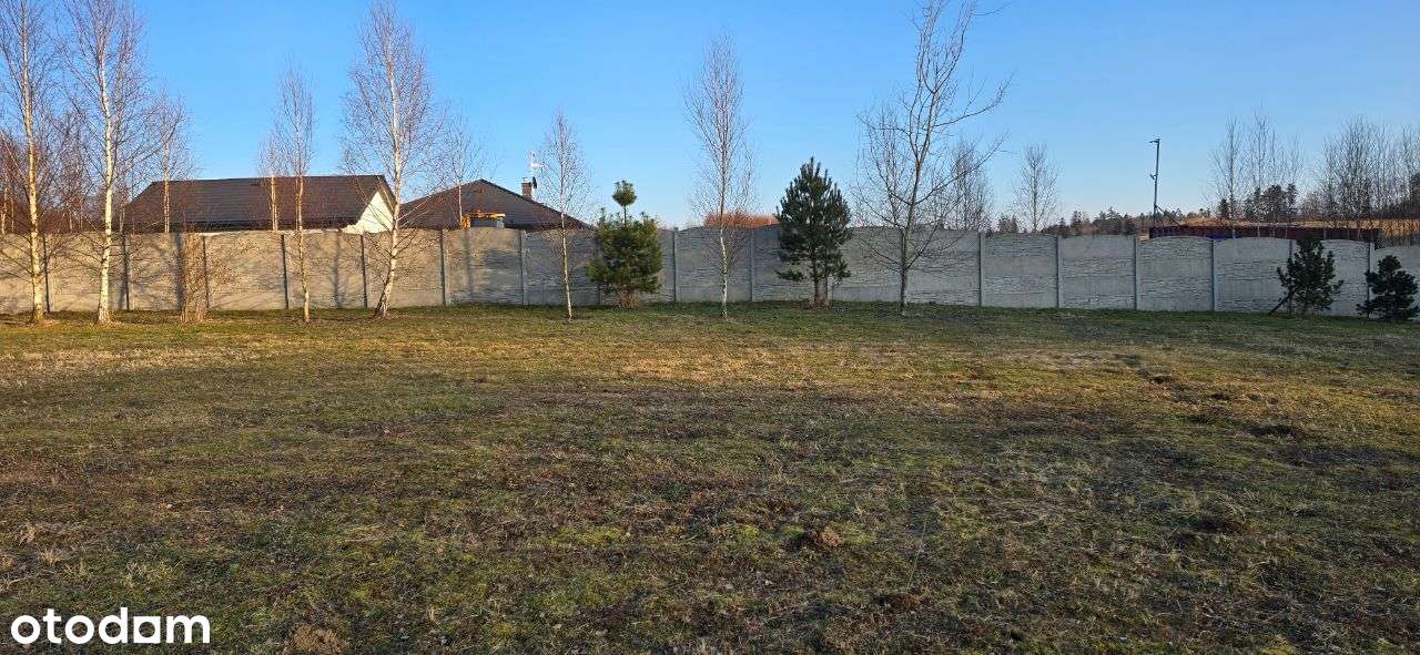 Działka budowlana - Dzikowiec - Pełny obrazek: 3/9