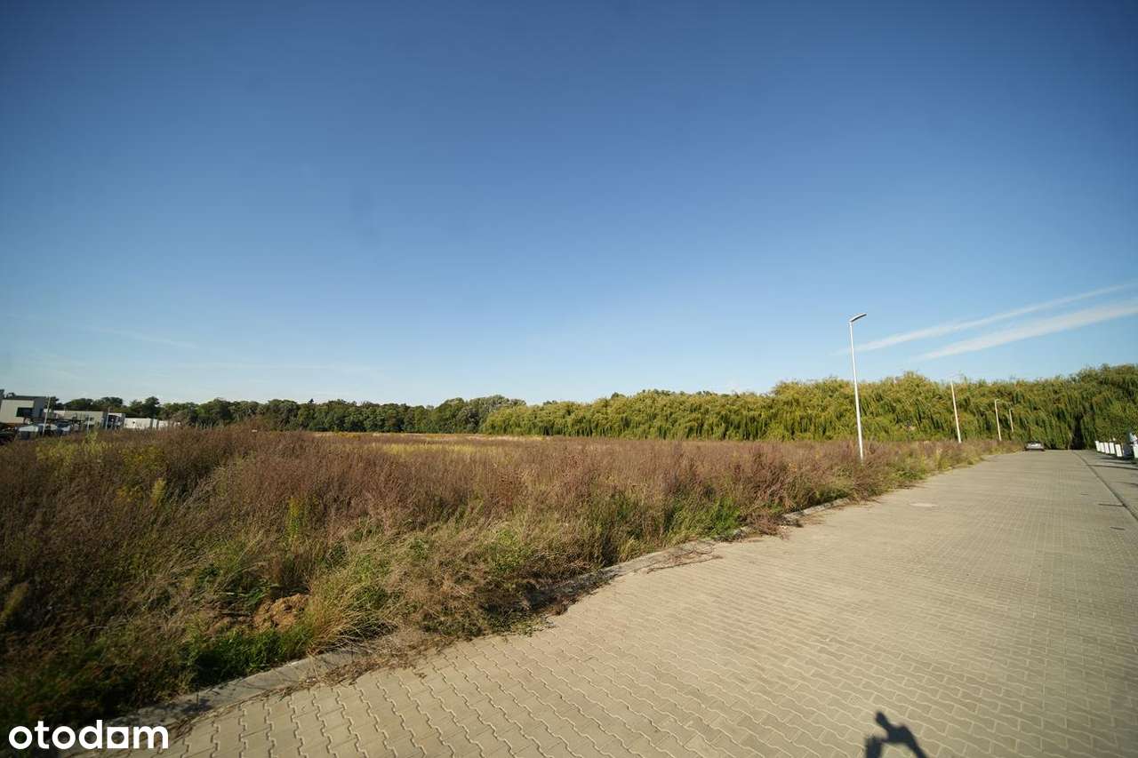 Jedna z ostatnich działek w Dąbrówce! Okazja!-6