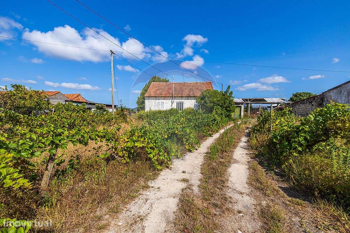 Moradia T2 para venda - Grande imagem: 3/14