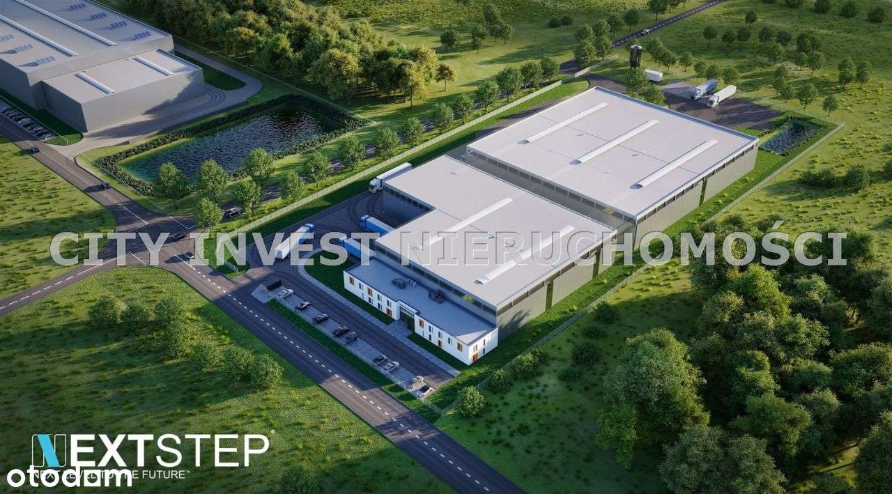 Hala/Magazyn, 5 000 m², Sulechów - Pełny obrazek: 5/5