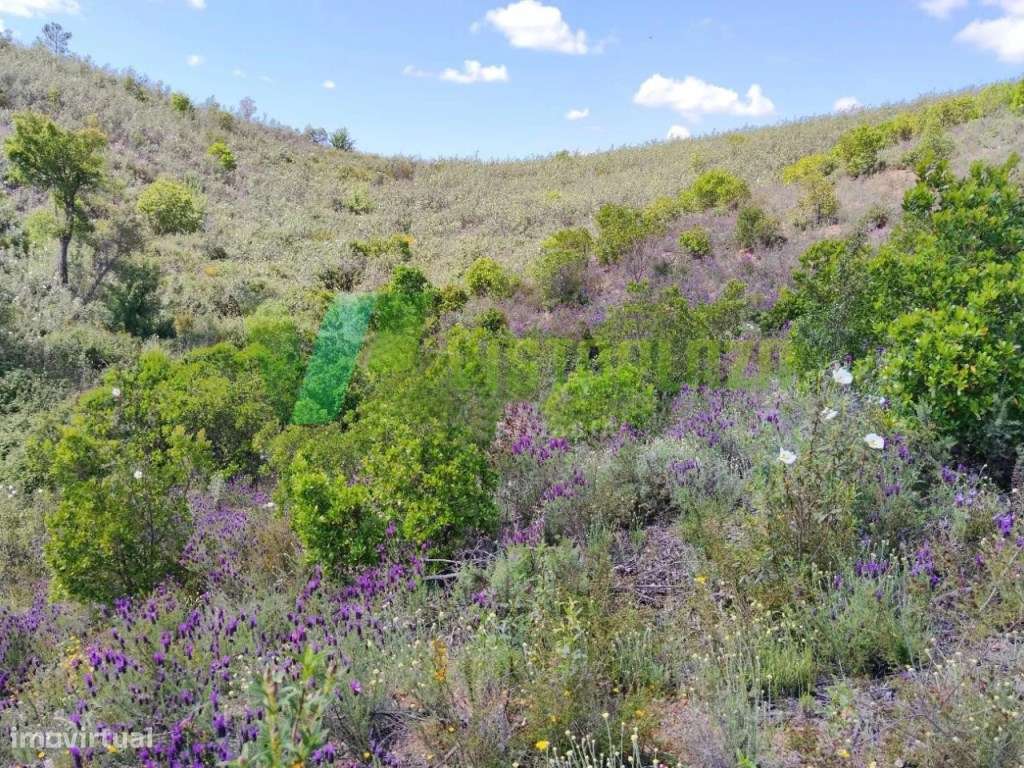 Lote de Terreno Rústico em Nave Redonda, Saboia - Grande imagem: 3/10