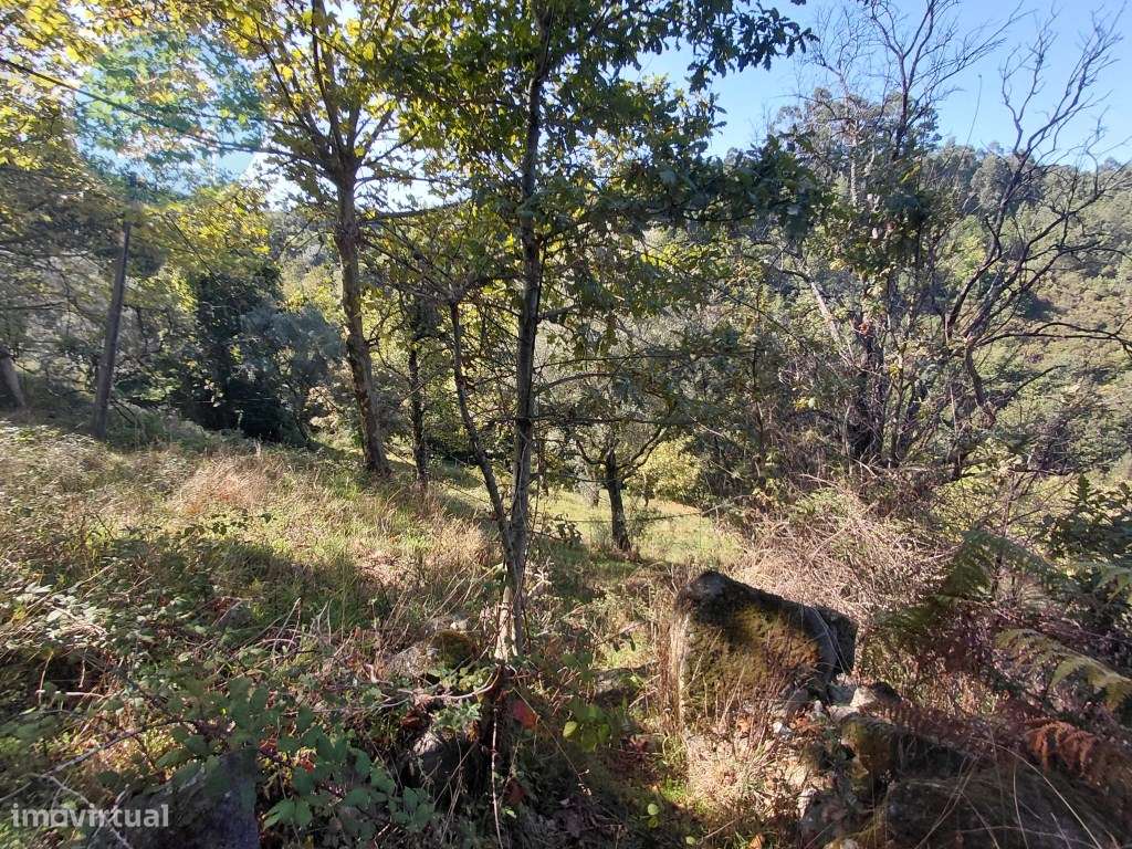 Casa Rústica em Pedra com Terreno para Restauro - Cambeses, Cabecei...-52