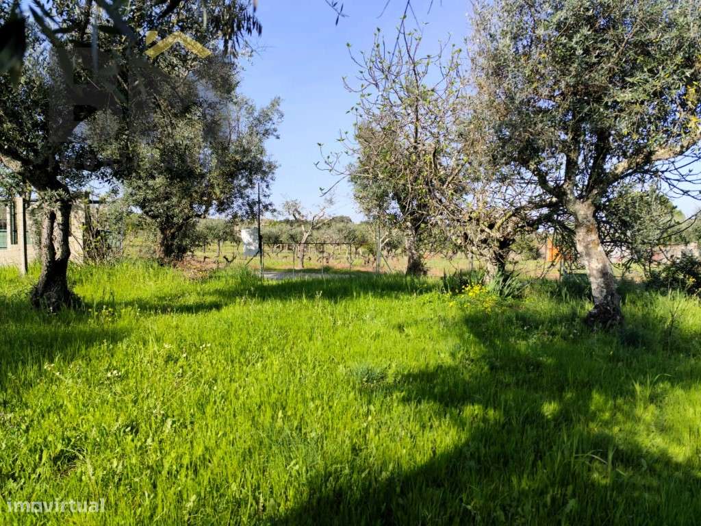 Quintinha de Charme: O Retiro Perfeito a um Passo da Cidade - Grande imagem: 5/10