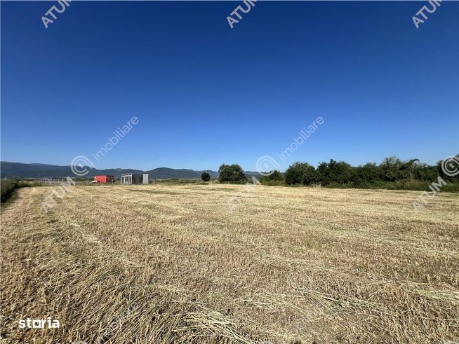 Teren intravilan de 543 mp cu PUZ constructie duplex in Cristian-6