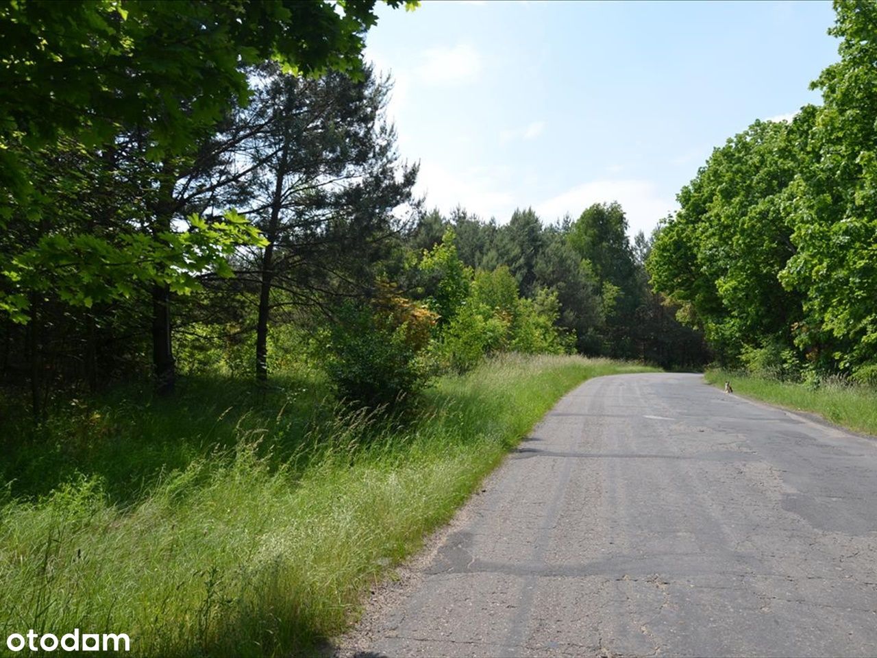 Działka, 1 000 m², Bukowa