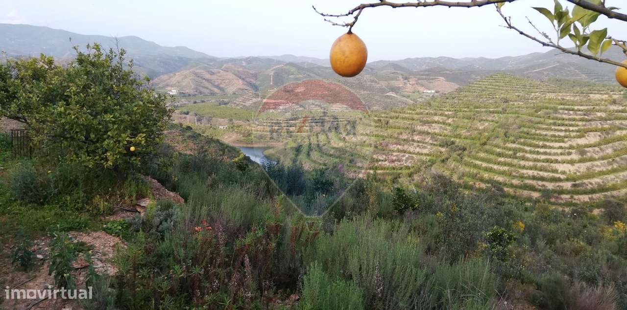 Quinta  para venda - Grande imagem: 2/9