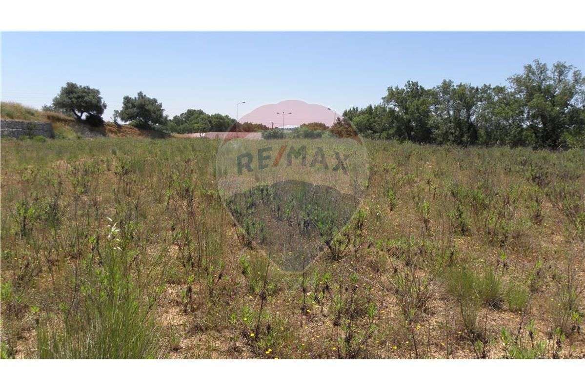 TERRENO PARA CONSTRUÇÃO DE ARMAZÉM INDUSTRIAL - Grande imagem: 5/12