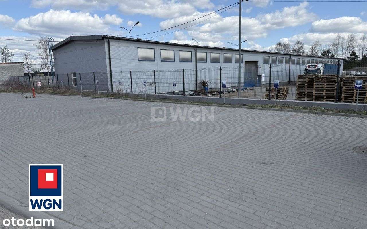 Dwie hale przemysłowe - Pełny obrazek: 4/19