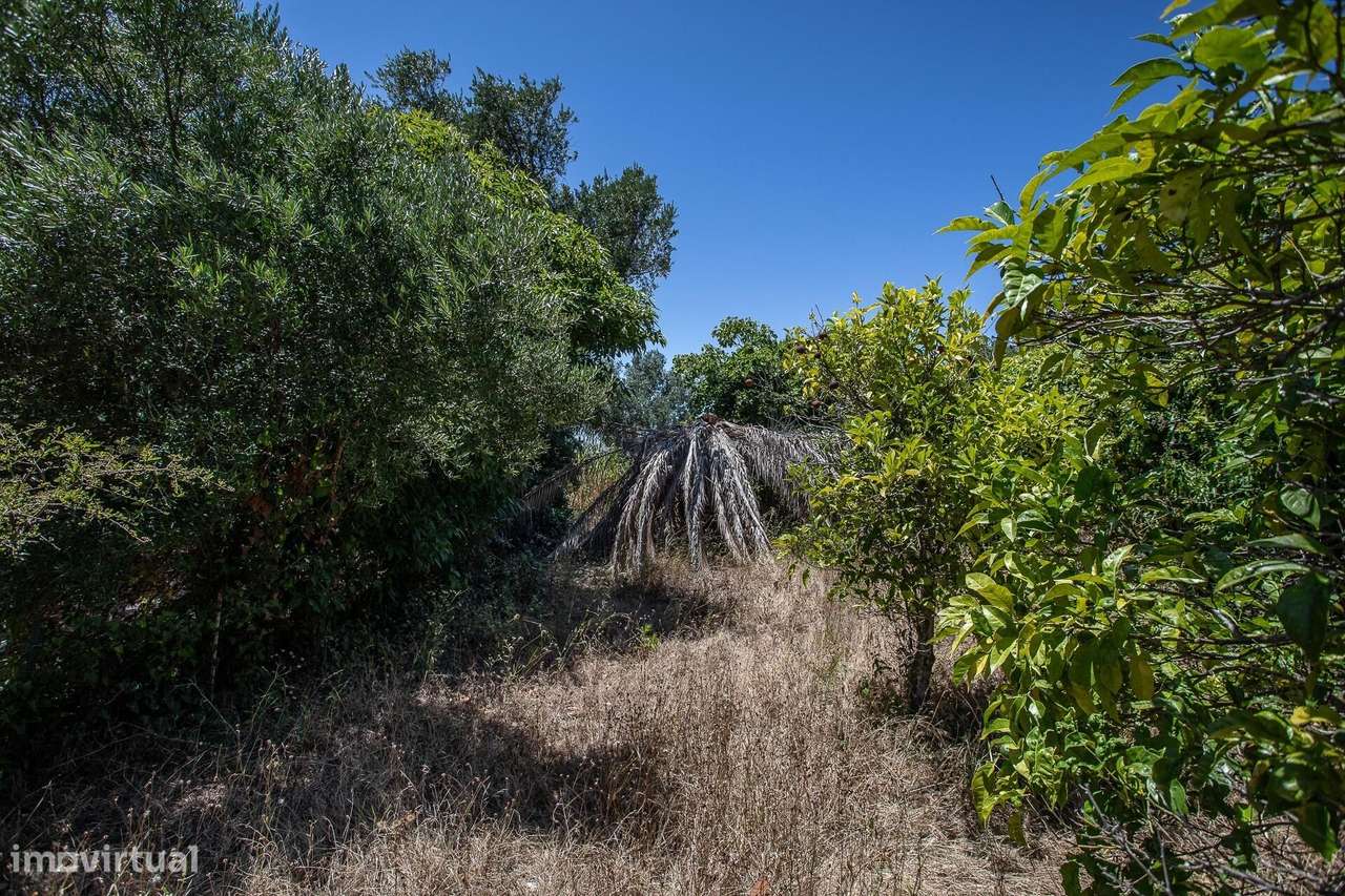 Charmosa Moradia T3 Térrea num lote de 938m2 para Remodelar na Aldeia-26