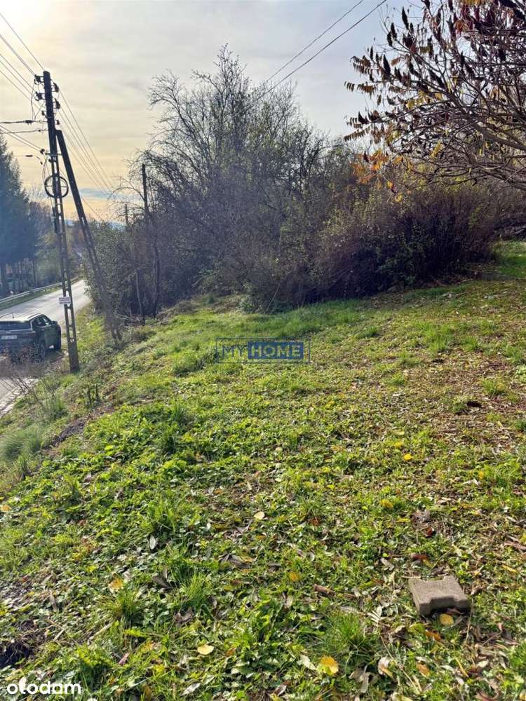 Działka w Dziwiszowie-5