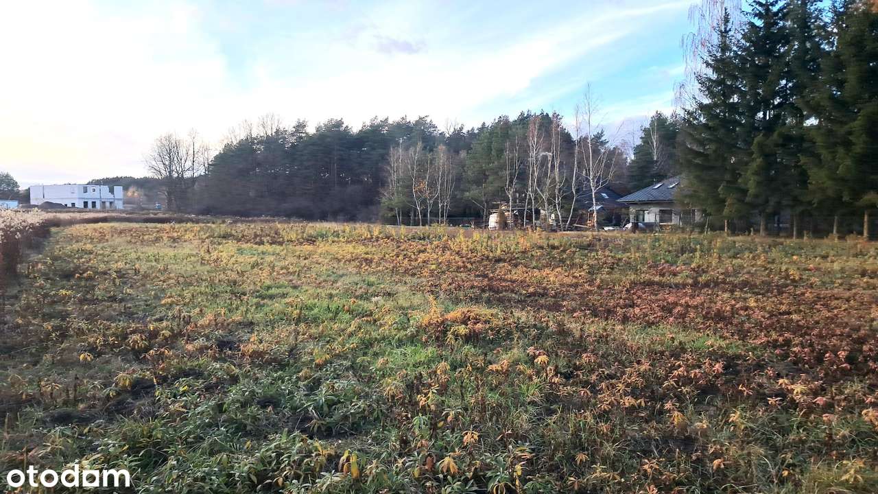 DZIAŁKA BUDOWLANA/Wola Karczewska/3500 m²/Warunki zabudowy na dwa domy-6