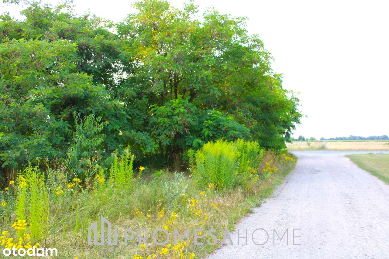 Kosewo Działki budowlane Jezioro Powidzkie SUPER CENA dojazd asflatowy - Pełny obrazek: 5/6