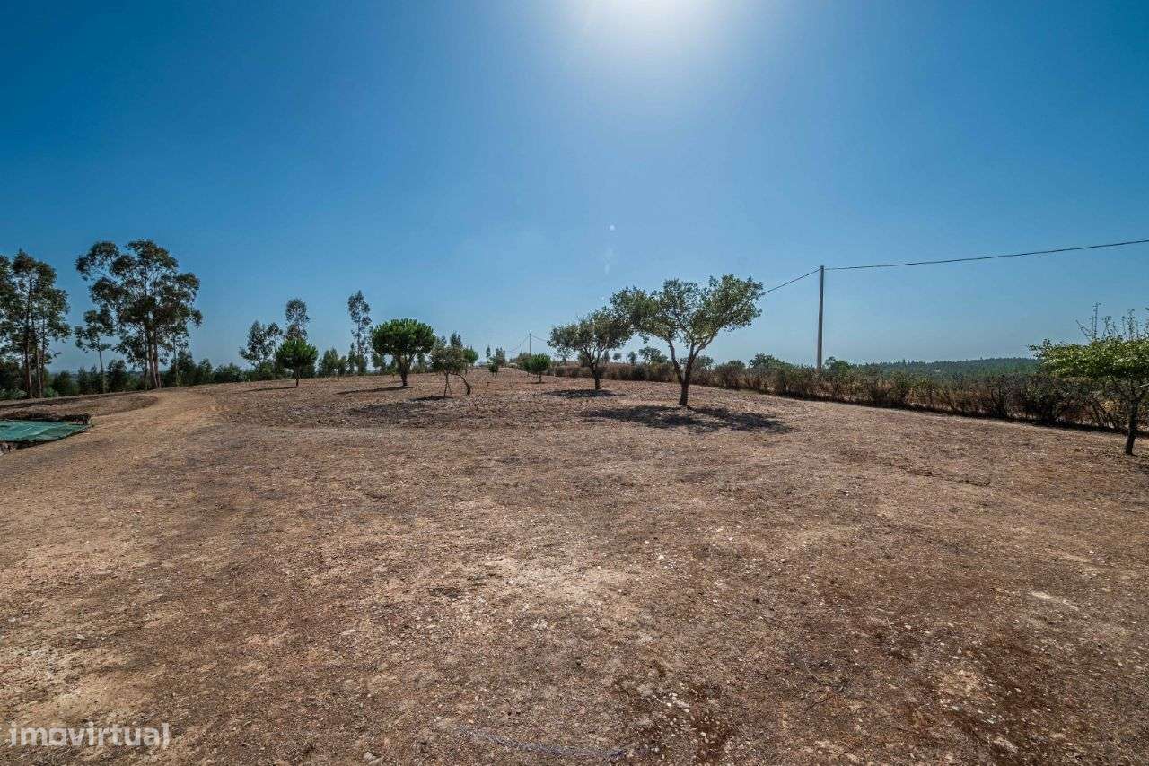 Vende-se Monte Alentejano em Avis - Grande imagem: 5/60