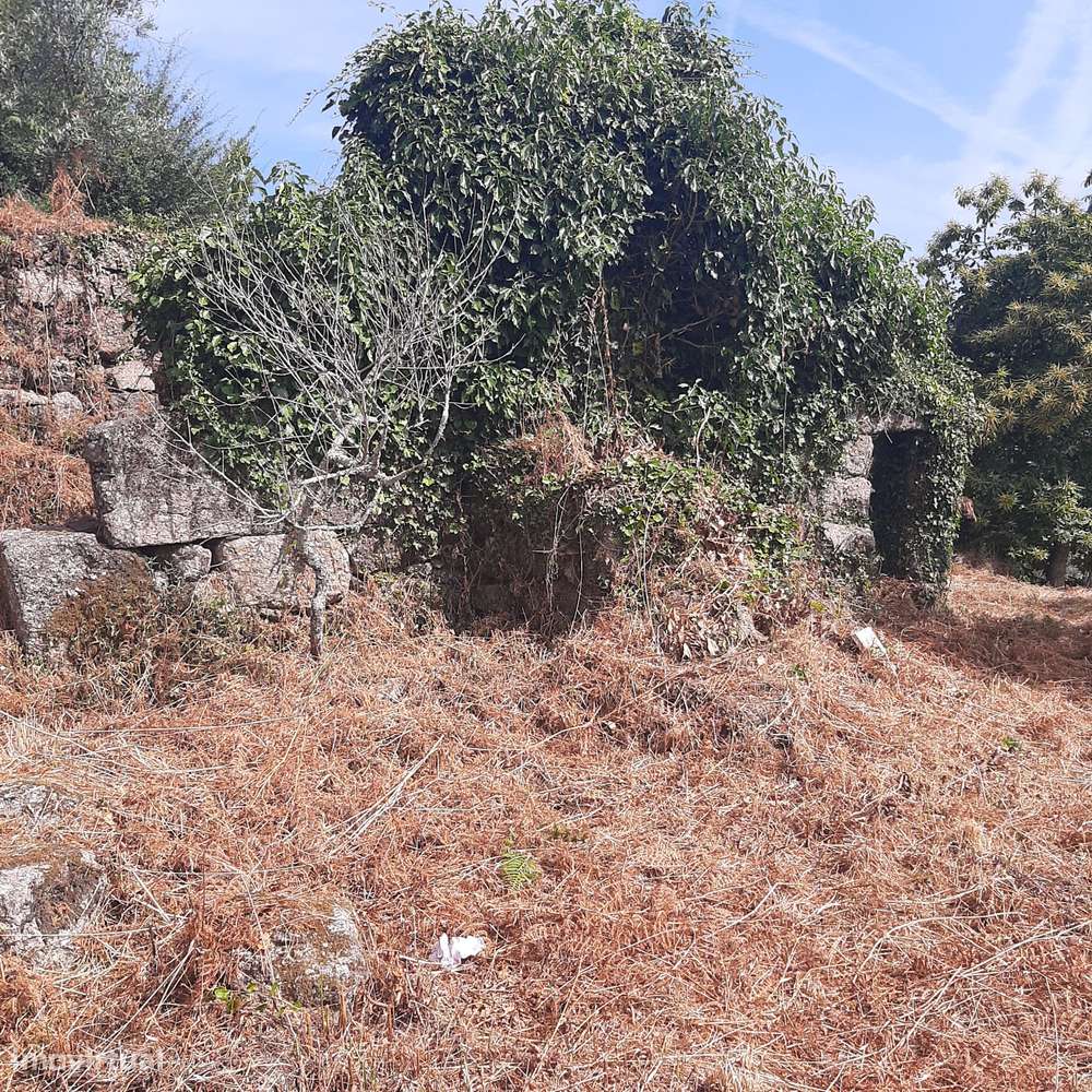 Casa em pedra para reconstruir Canelas Penafiel-20