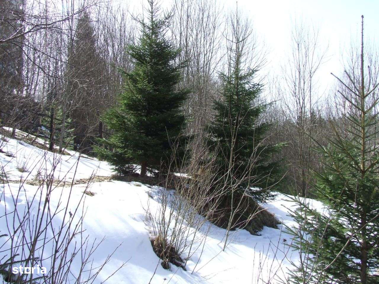 Teren de vânzare în zonă centrală cu acces asfaltat - Imagine principală: 4/14