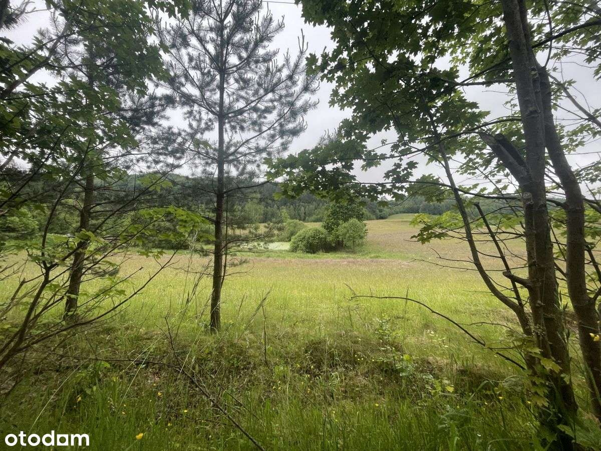 Piękna działka z "oczkiem", w sąsiedztwie zabudowa-6