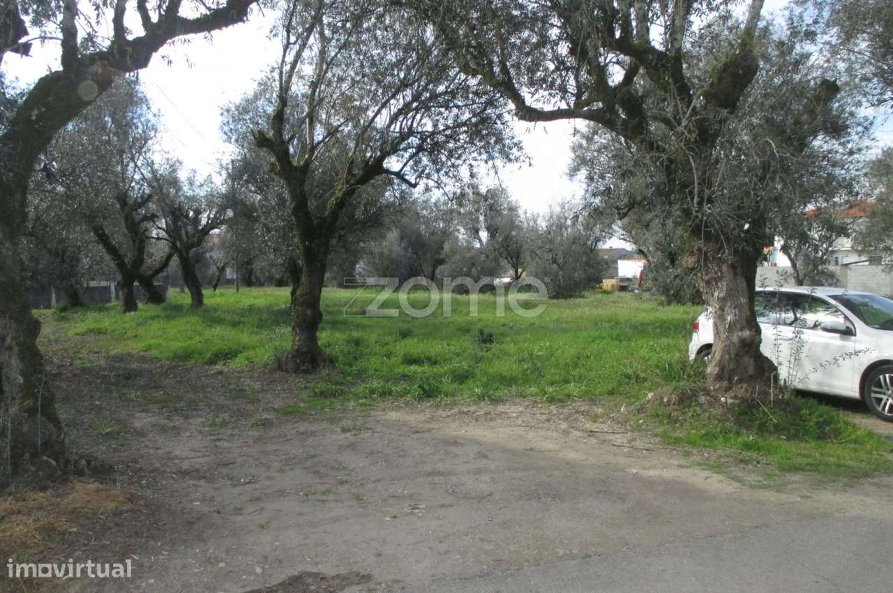 Terreno para construção de prédio - Grande imagem: 5/15