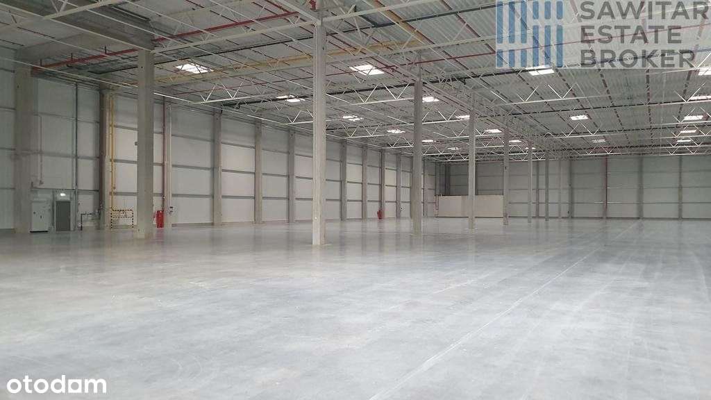 klasa A-od zaraz, przy węźle S11/A2-bez prowizji - Pełny obrazek: 5/5