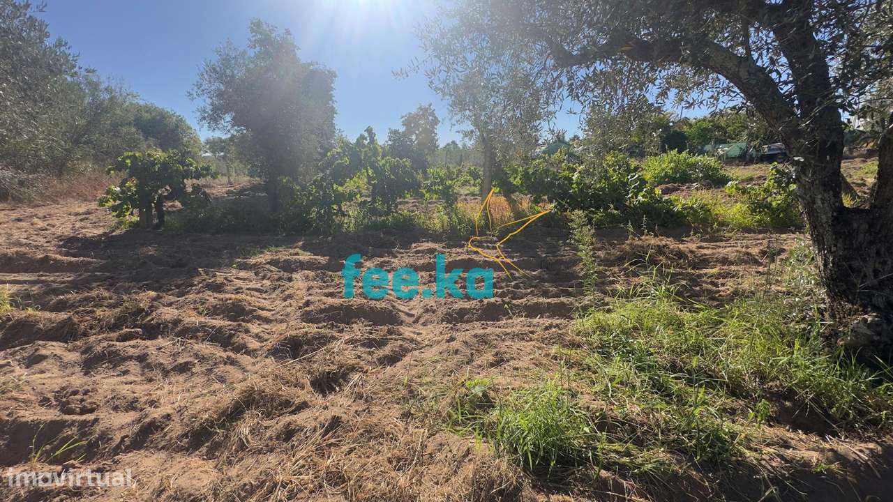 Terreno em Ladoeiro-14