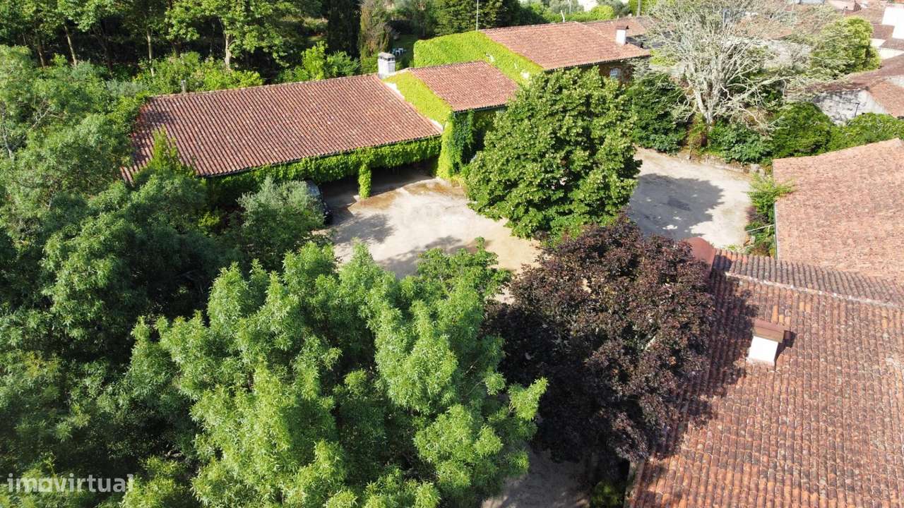 Solar do sec. XVII em Mesquitela, Mangualde-58