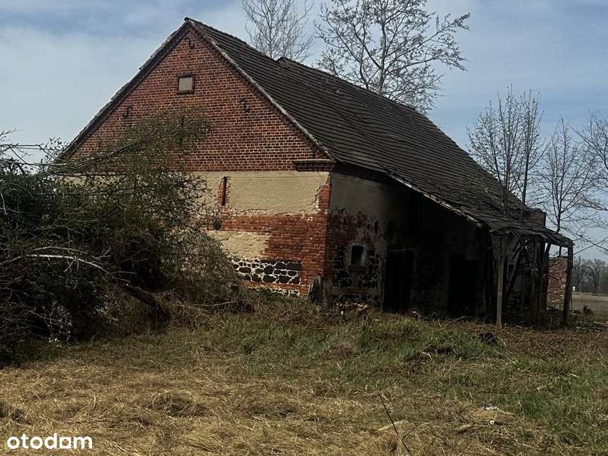 Działka rolno-budowlana - Pełny obrazek: 4/13