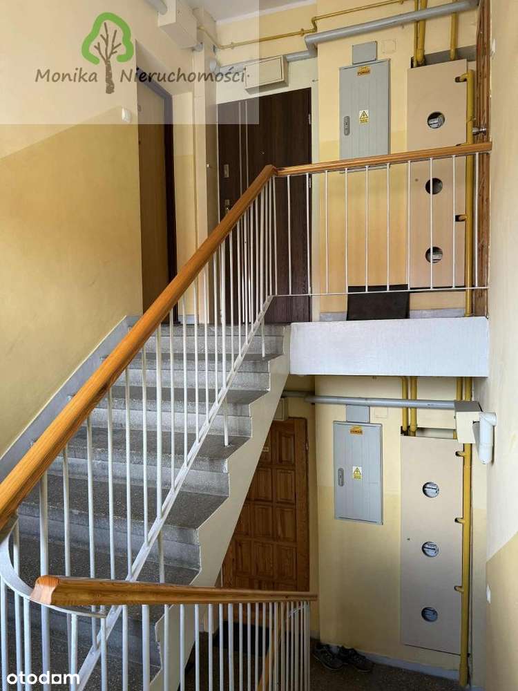 Dwa pokoje- nowe okna, nowa instalacja elektryczna-15