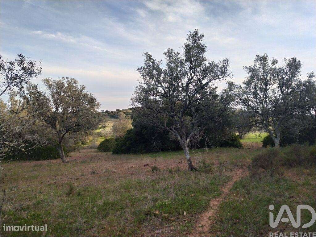 Terreno de Lazer em Barão de São Miguel de 12000,00 m2 - Grande imagem: 4/19