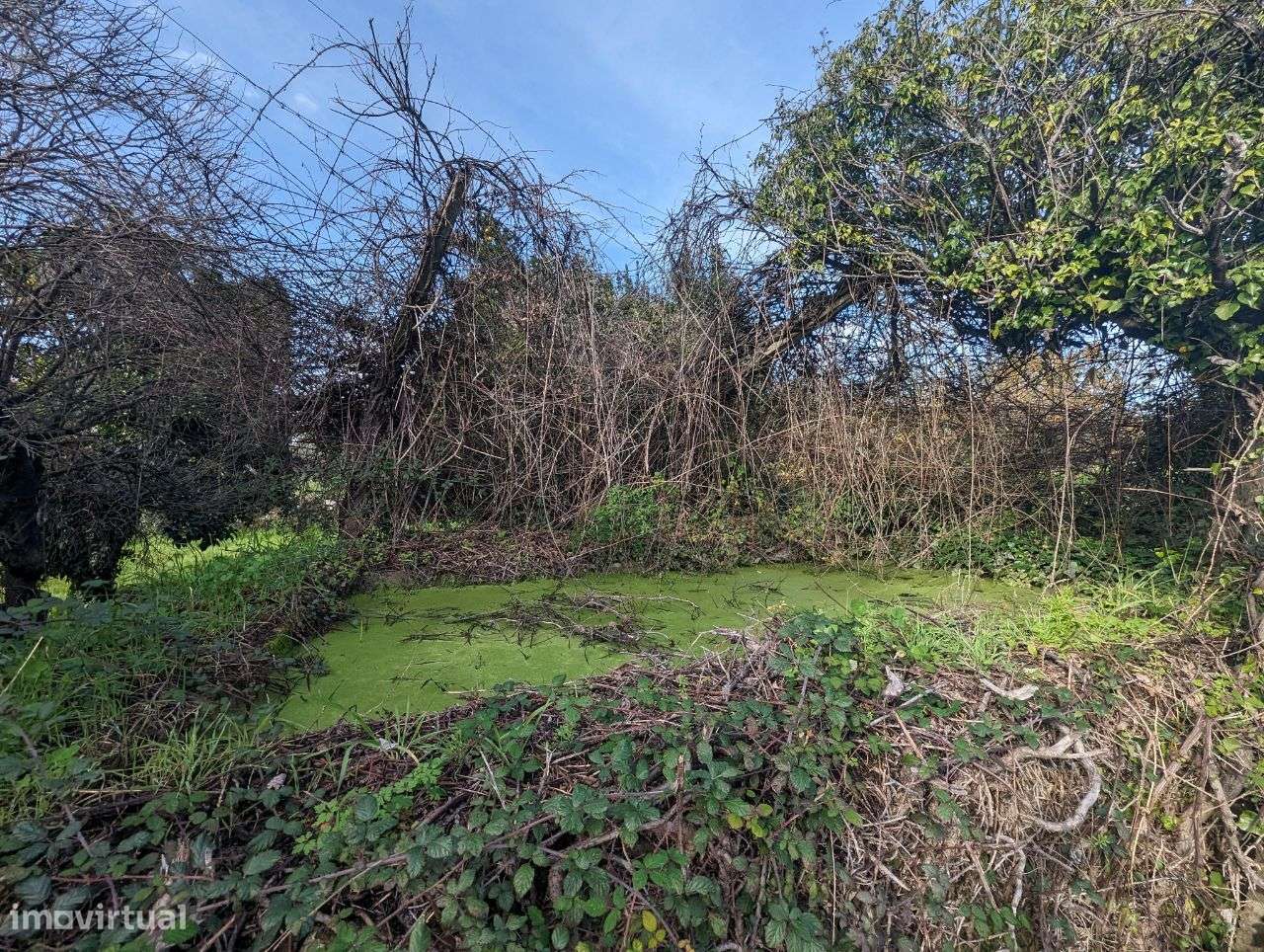 Terreno URBANO de 9228m2, em Pedrógão Grande - Grande imagem: 4/24