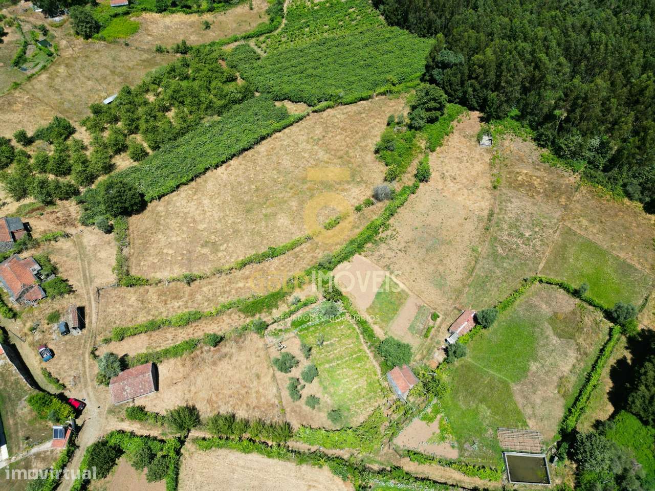 Quinta T4 Venda em Fornelos,Cinfães - Grande imagem: 5/16