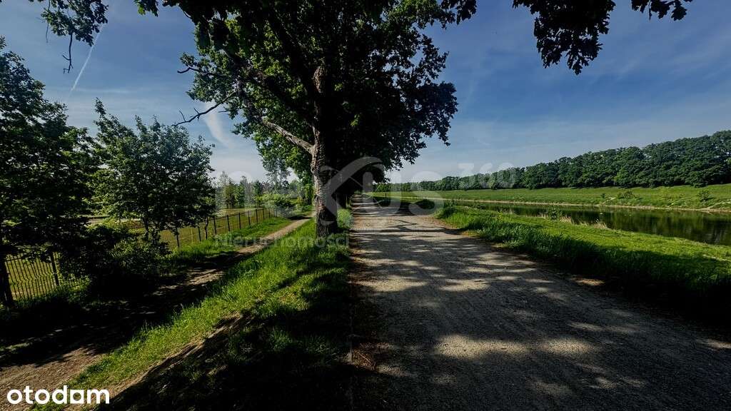 Apartament z duszą - przestrzeń, która pobudza - Pełny obrazek: 5/20